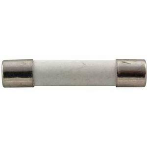 FUSE CARTRIDGE CERAMIC FAST BLOW 6.3X32MM 250V 10A