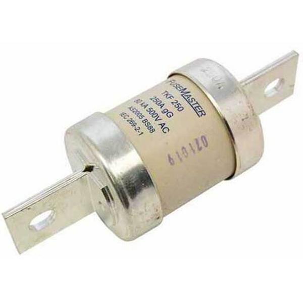 Fuse Cartridge Central 2 Hole 111mm Fixing Centres 315A 550/660VAC, Ideal Electrical Catalogue Power Distribution Fuses Holders Tag Bolted Fuse - Construction Supplies Australia