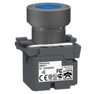 PUSHBUTTON TRANSMITTER SPS HEAD BLUE