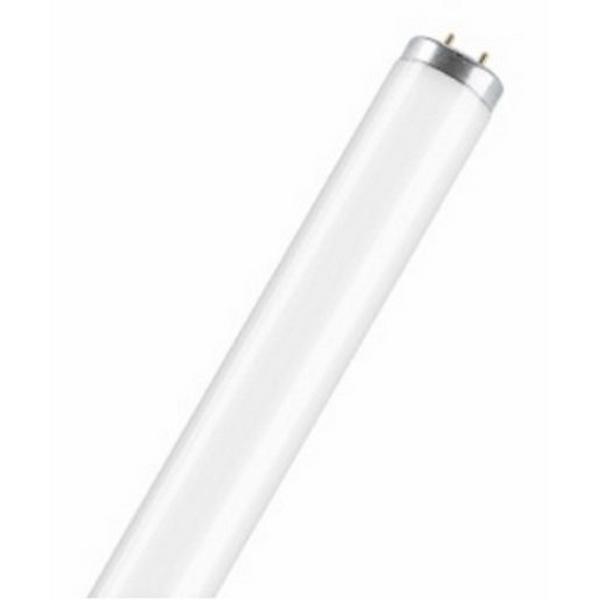 Lamp Fluoro G13 T12 65W 4200K 5Ft Rapid Start Cool White, Ideal Electrical Catalogue Lamps Fluorescent Fluorescent Lamp - Construction Supplies Australia