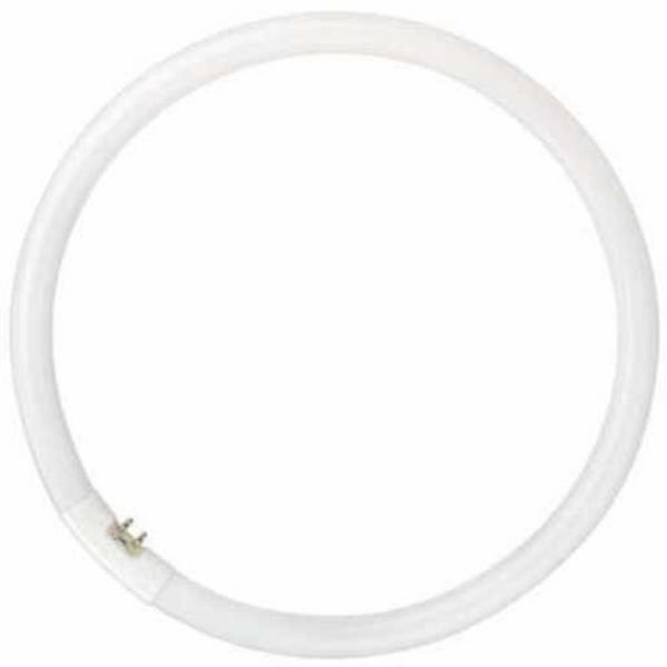 Lamp Fluoro T5 Circ Gz10Q 40W 6500K, Ideal Electrical Catalogue Lamps Fluorescent Fluorescent Lamp - Construction Supplies Australia