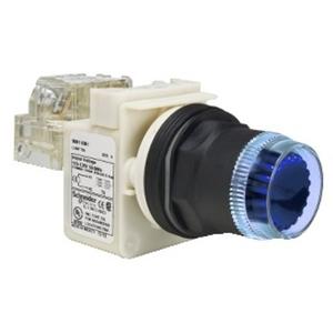 30MM ILLUM PUSH BUTTON 120V NEON