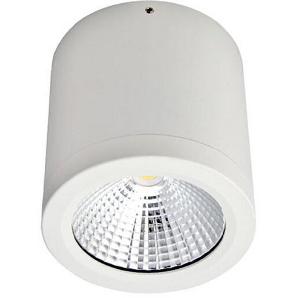Downlight Surface Mounted LED 10W 4000K 760Lm IP54 Dim 90mm 60O White, Ideal Electrical Catalogue Light Fittings Downlight Downlight Spot Floodlight - Construction Supplies Australia