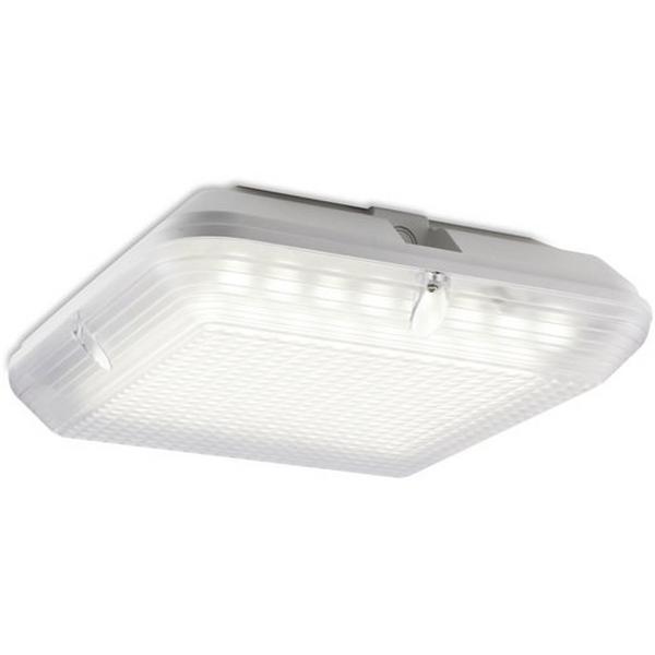 Surf Mount LED 22W 2500Lm IP65/Ik10 M/Wave Sensor, Ideal Electrical Catalogue Light Fittings Ceiling Wall Lighting Ceiling Wall Luminaire - Construction Supplies Australia