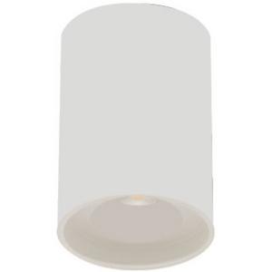 LIGHT CTC COB LED 10W 3K 650LM DIM H120 X D90MM WHITE KEON