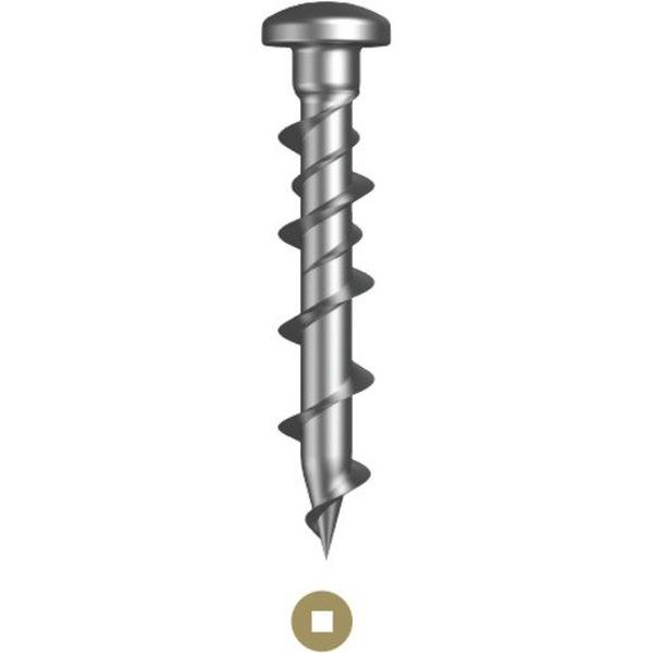 Wallkatt (Wall Dog) Pan Head Square Drive #2 6.5mm X 32mm Zinc Plated, Ideal Electrical Catalogue Hardware Screws Screw Anchor - Construction Supplies Australia
