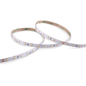 STRIPLIGHT LED 9.6W/M 5M IP20 DL WITH CABLE