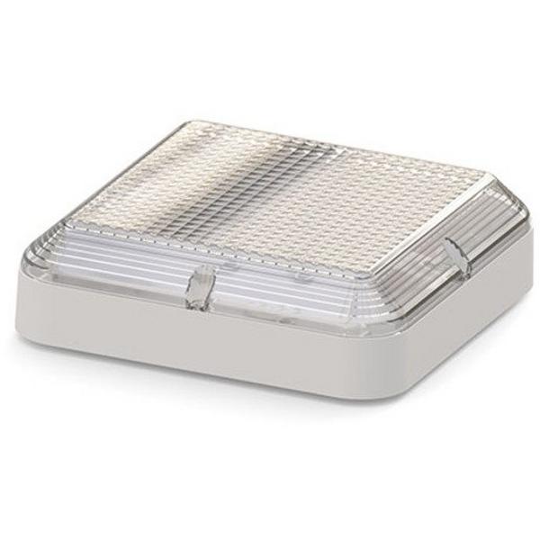 Argonaut Square 240V Ms, Ideal Electrical Catalogue Light Fittings Emergency Exit Emergency Luminaire - Construction Supplies Australia