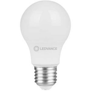 LAMP LED E27 10W 6500K 230V CLA75 G7