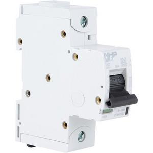 MCB DIN-T 10H 1P 100A C CURVE