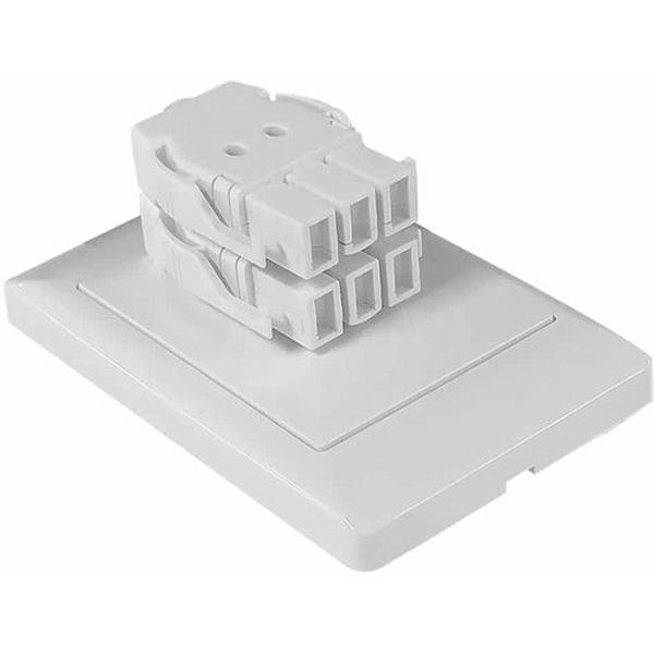Starter Plate Double Tag (Single Circuit) Wall Mnt White, Ideal Electrical Catalogue Switches Plugs Sockets Softwire Patch Cord For Plug In Building Installation - Construction Supplies Australia