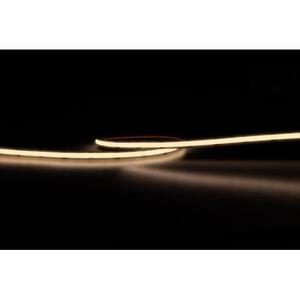 Light ribbon-/hose/-strip - STRIPLIGHT LED 6W/M 240V 6000K C/W DRIVER F AND P 5M KIT - FLBP24V5M/DL