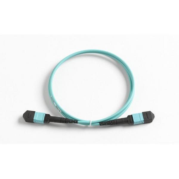 1M Test Cord Mpo/Mpo,Pin/Pin,Type B Polarity, Ideal Electrical Catalogue Data Communications Fibre System Patchcord Optic Fibre - Construction Supplies Australia