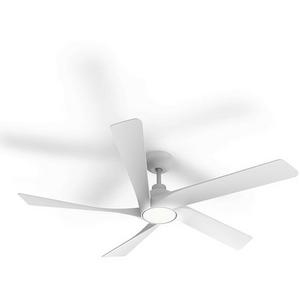 CEILING FAN DC 54"/1370MM 34W 5 BLD /W LED LT WHT MAROUBRA