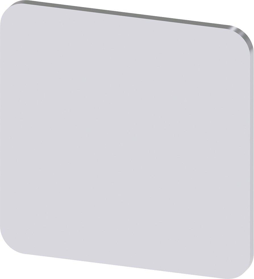 3SU1900-0AF81-0AA0, Bezeichnungsschild 22x22mm, Schild silber, ohne Aufschrift