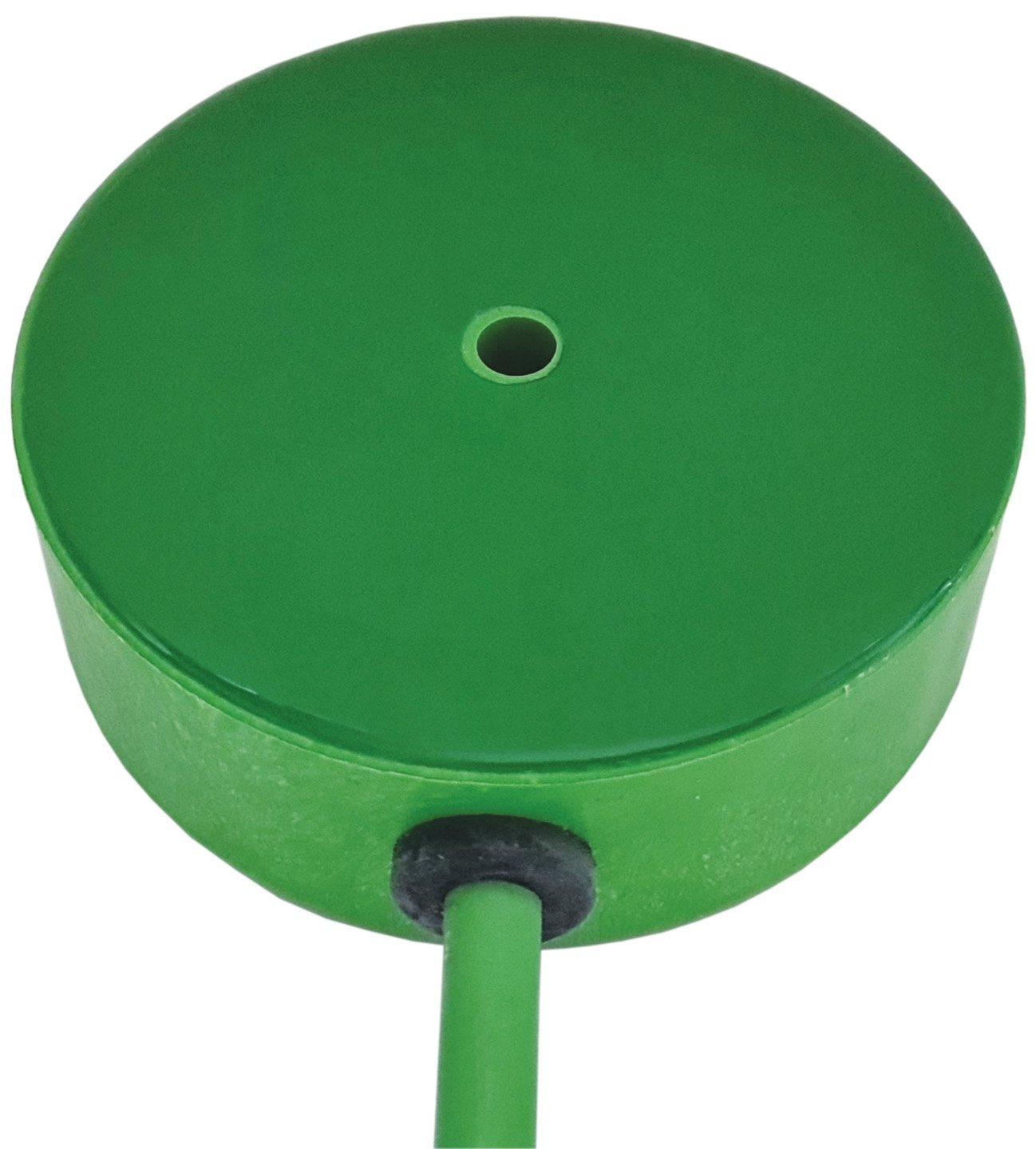 PEK-Z10 2M, Plattenelektrode mit 2 m Anschlussleitung