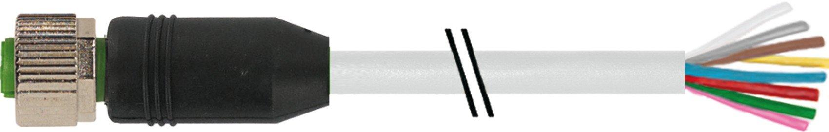 Main media