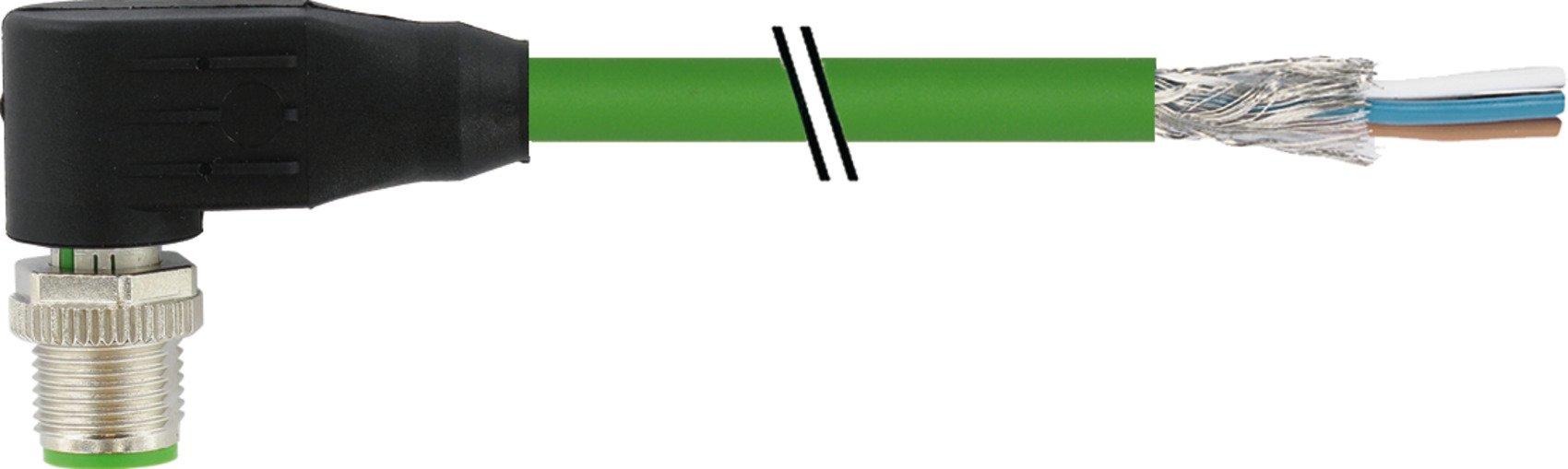 Main media