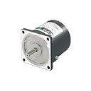 2TK3A-AW2J, AC MOTOR: SINGLE-PHASE OUTPUT 3W Flanschmaß 60mm x 60mm, Torquemotor