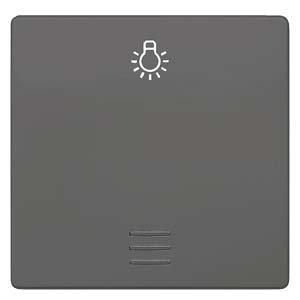 5TG6226, DELTA i-system Wippe mit Fenster und Symbol Licht, carbonmetallic