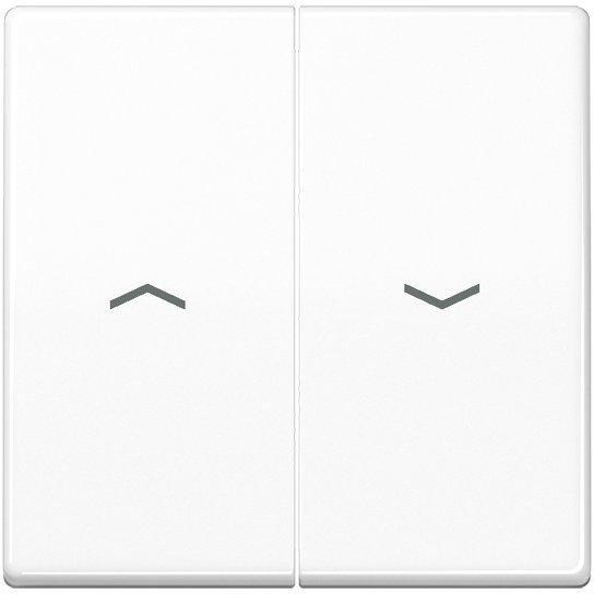 AS 591-5 P WW, Wippe 2fach, mit Pfeilsymbolen, Duroplast, Serie AS, alpinweiß