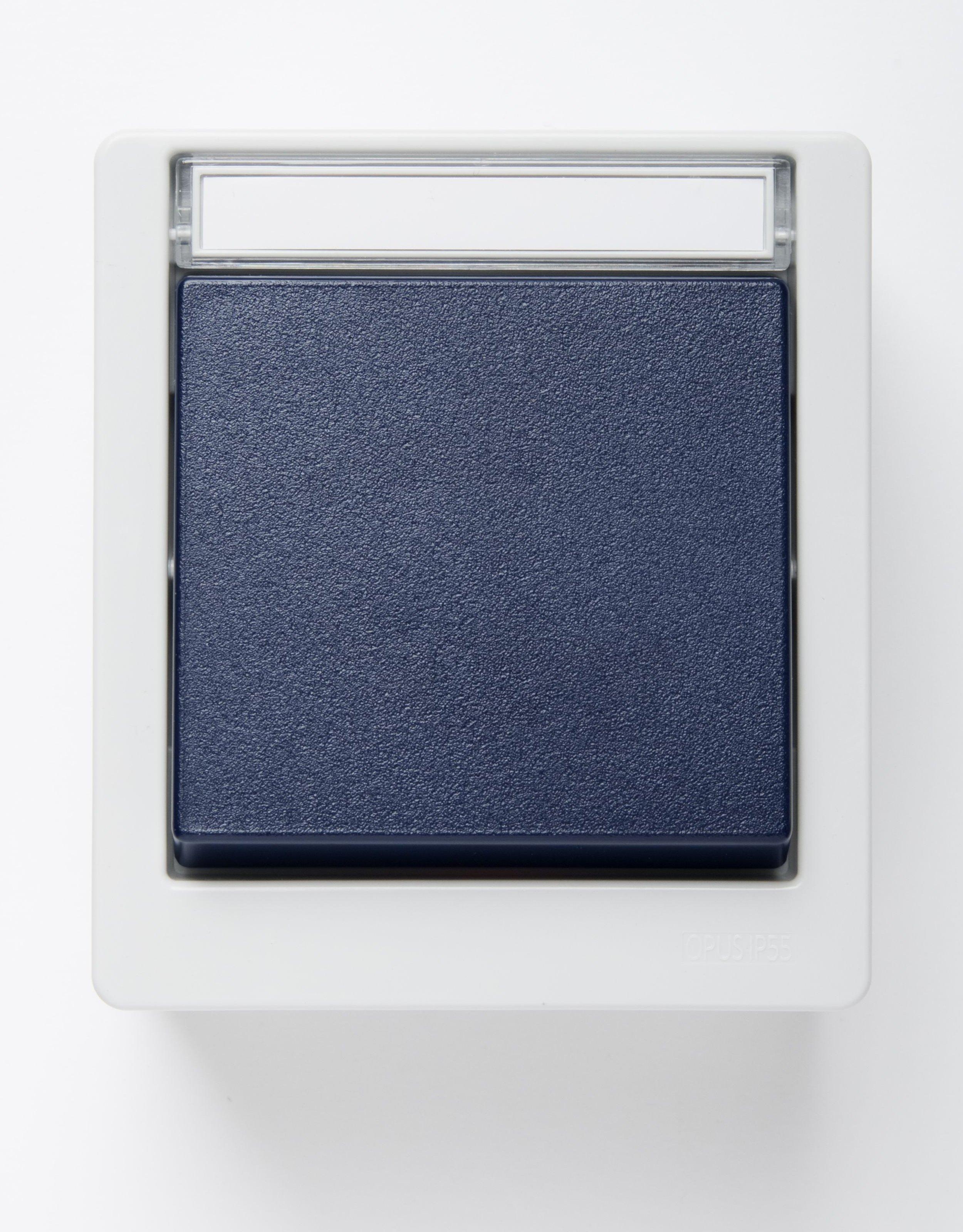 NAQUAAPTA.1, Taster ( Wechsler ), IP55, hellgrau/stahlblau