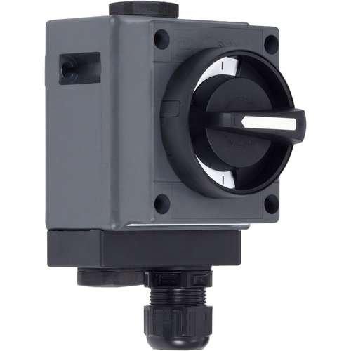 8040/11-V30-035-B, 8040/11-V30-035-B, Installationsschalter Wechselschalter, 690 V, No. of poles: 2, Polyester, Stopping plugs: 2 x M25 x 1,5, Cable glands and entries: