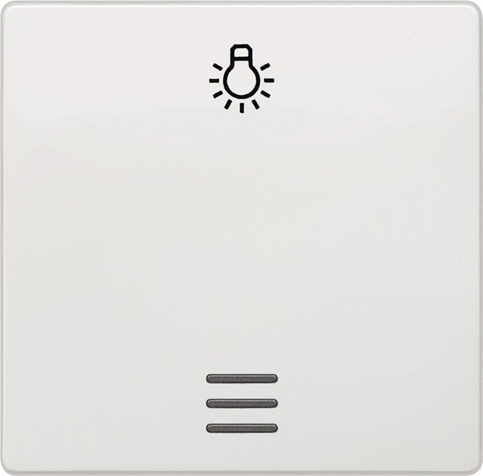 5TG6206, DELTA i-system Wippe mit Fenster und Symbol Licht, titanweiß