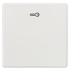 5TG6208, DELTA i-system Wippe mit Symbol Türöffner, titanweiß