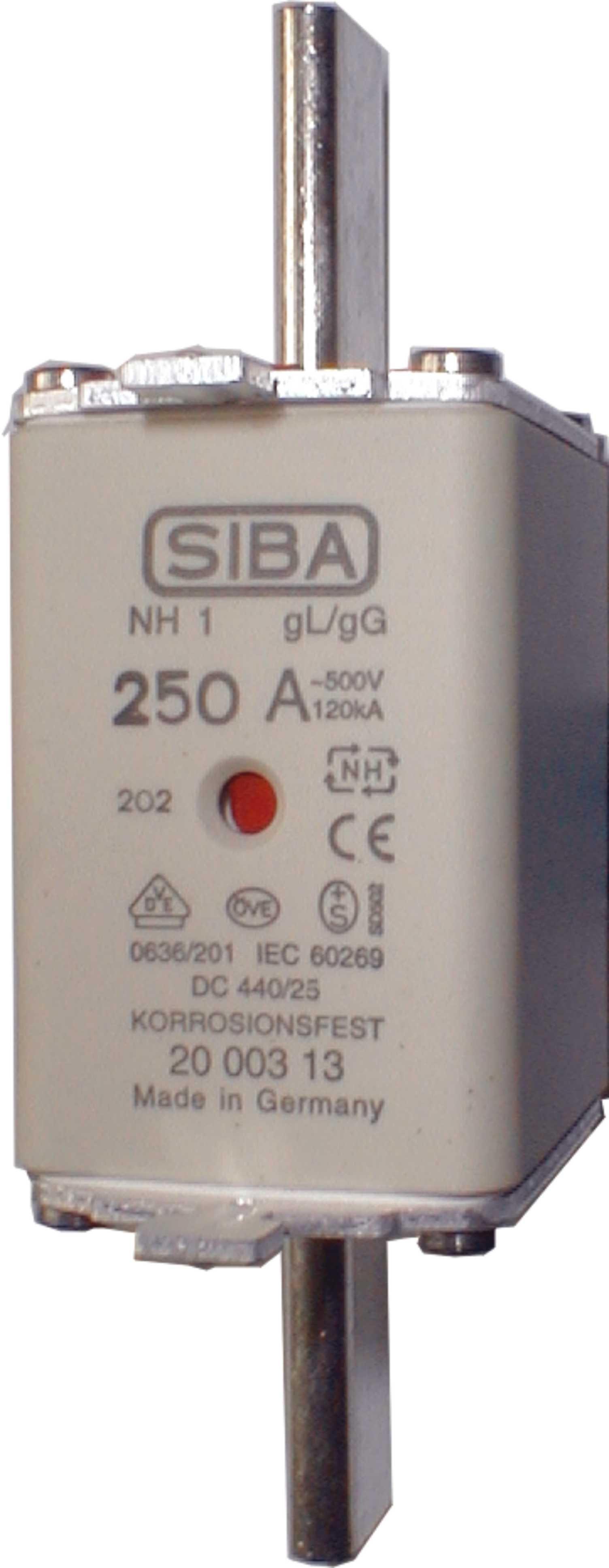 2021113.100, NH1 100A gG 690V