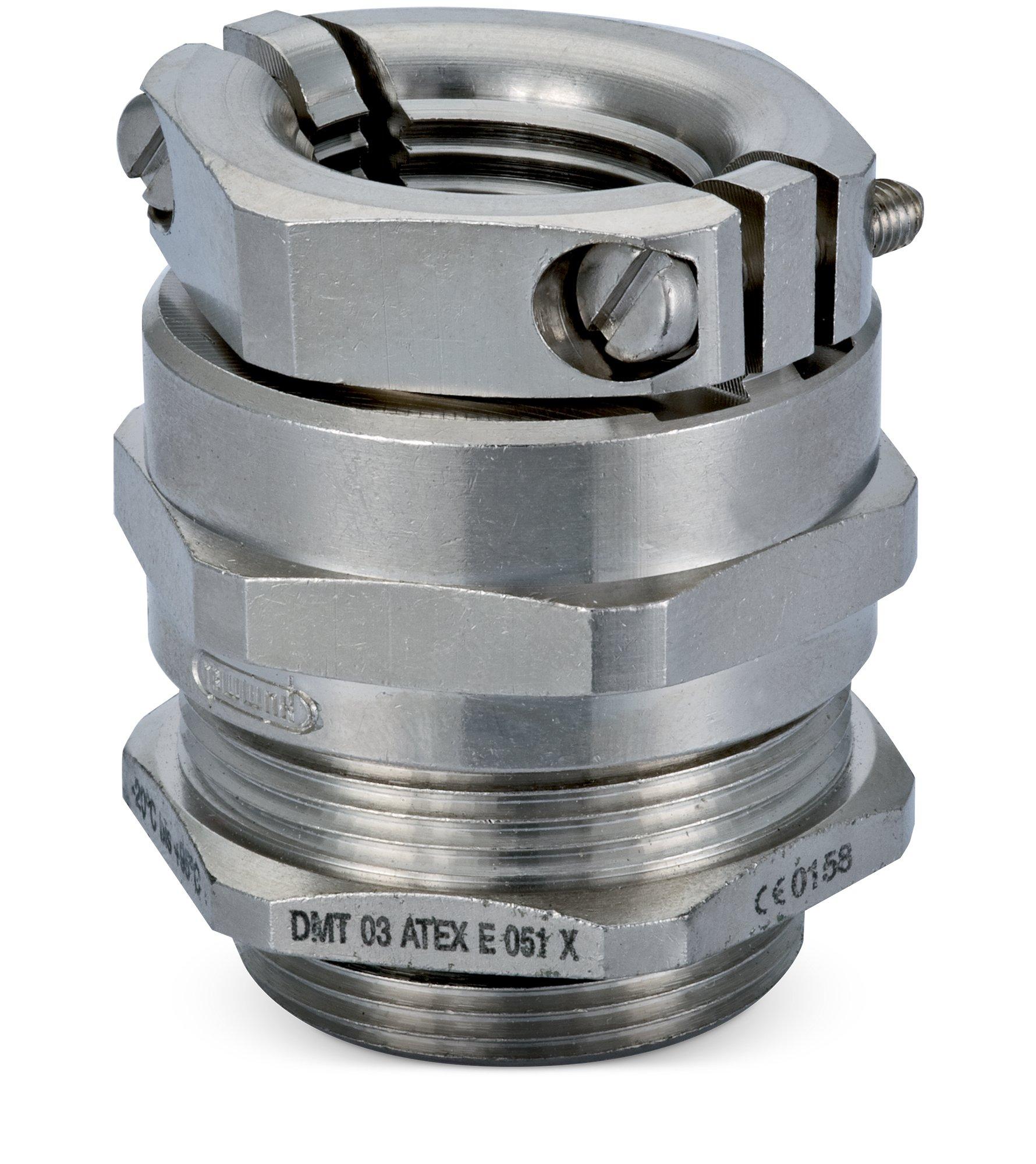 Main media
