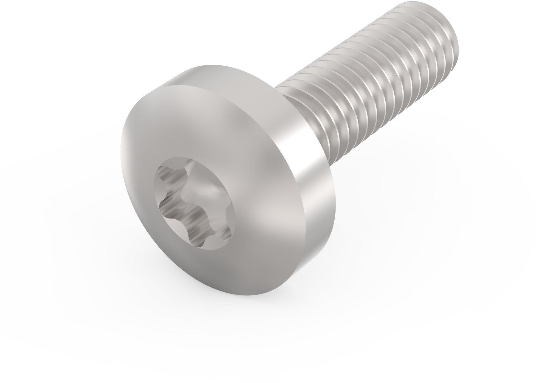 24560130, NTS TORXSCHR.M4X14 (100STK)