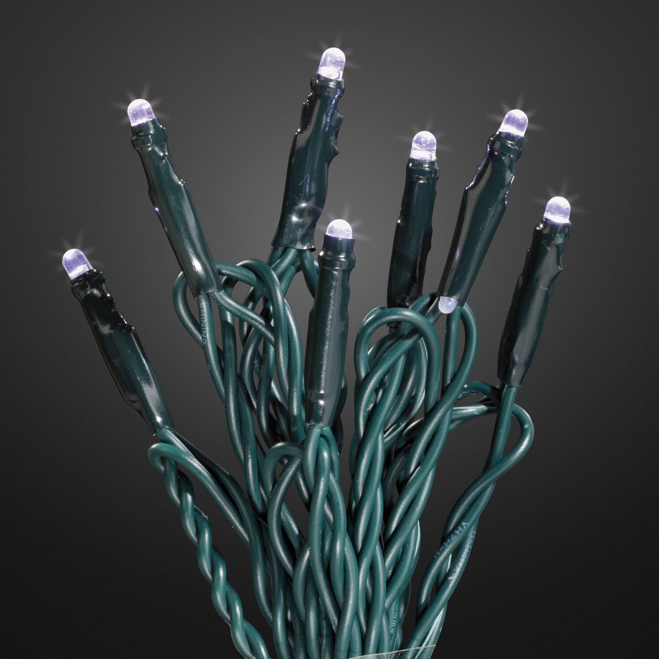 560411, LED-Lichterkette 40-tlg. klar, Kabel grün, mit 24V-Trafo, für innen und außen