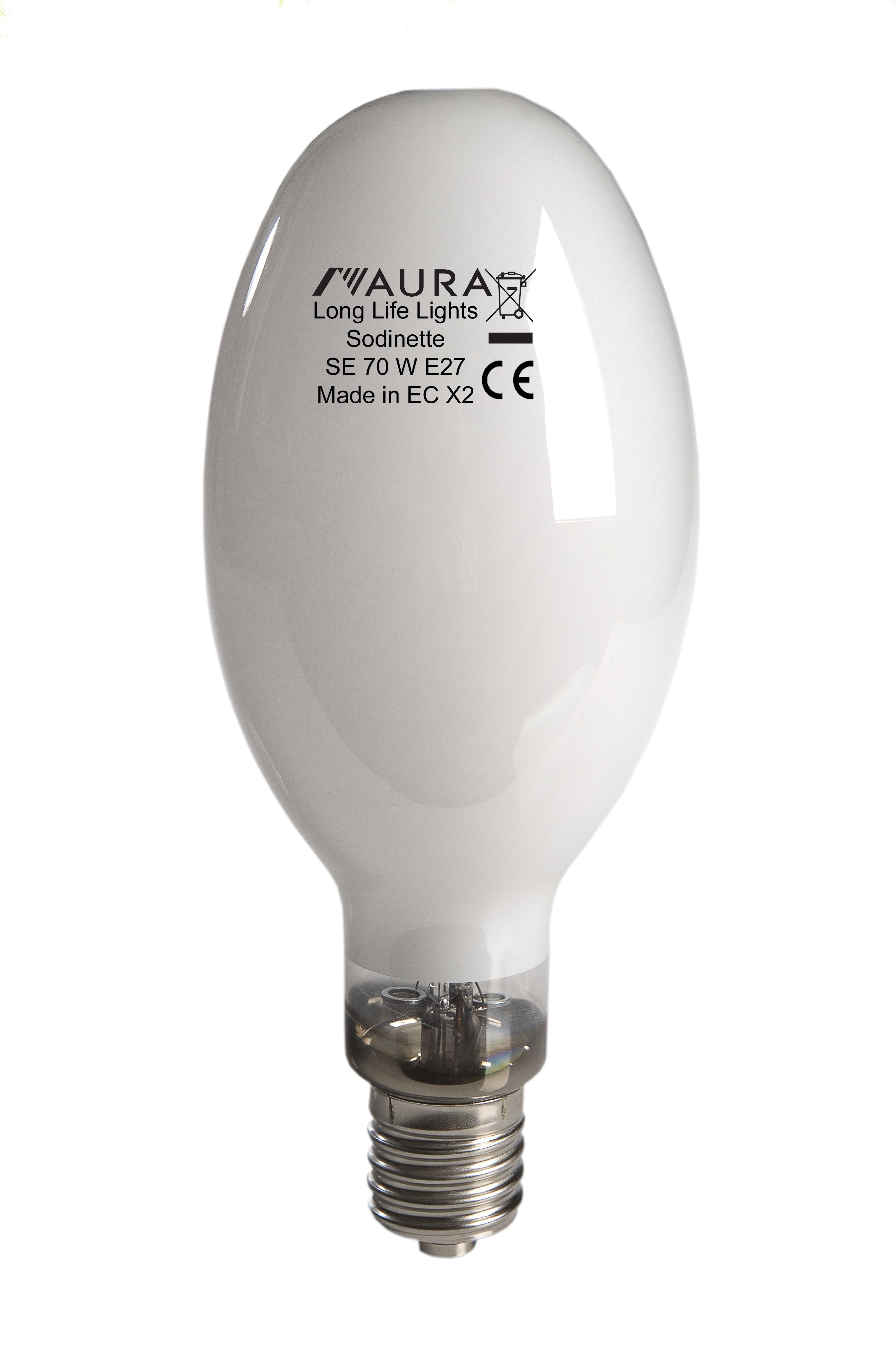 500221, Sodinette-SE LL 70W E27