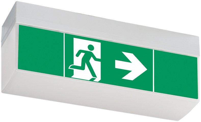 HNL6013FL LED 3h, EinzBatt-Notleuchte LED 3h, flache Haube, SV EURO 4 LED 3 h (SET)