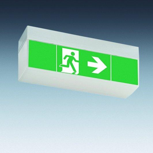 HNL6012HH LED 3h, EinzBatt-Notleuchte LED 3h, hohe Haube, SV EURO 4L LED 3 h (SET)