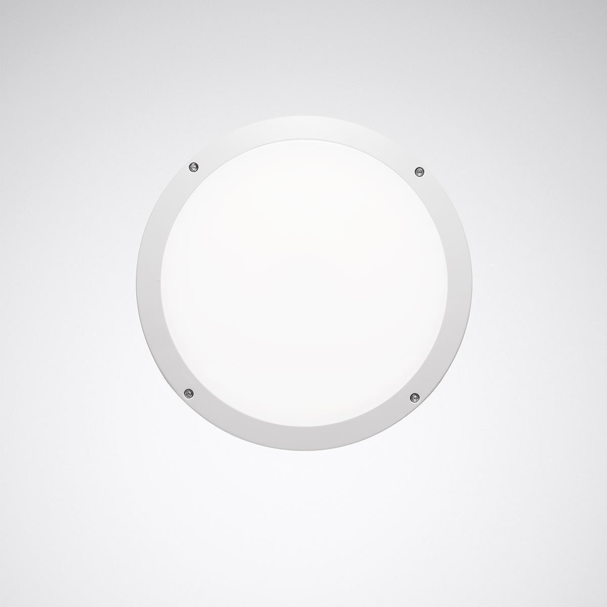 Skeo Circ MultiLC WD2 1G1Y ET E3, Wand und Deckenleuchten Skeo Circ Multilumencolor 4 Abdeckscheibe weiß ET 20W 85 IP65 IK10 3 SDCM