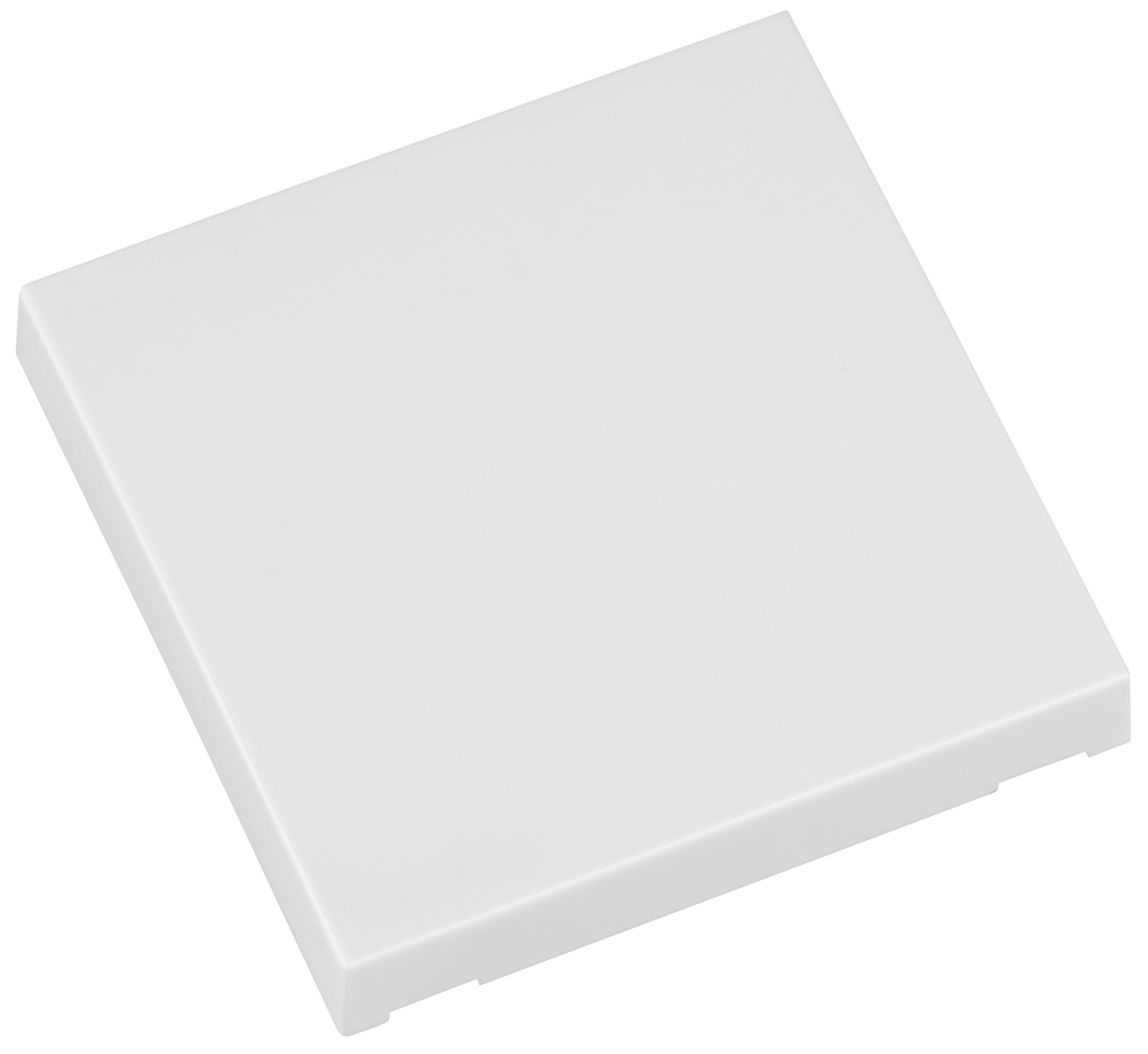 RTS22-ACC-02-02P, Einzelwippe, 1x EIN/AUS, Format 55, für RTS22, weiß