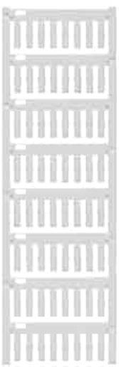 Main media