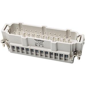 Stifteinsatz B24 0,5 - 2,5 mm² 20 - 14 AWG