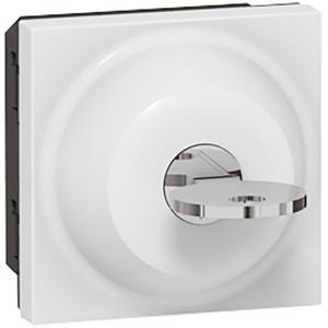 Schlue. Jal. Ronis 2mod ws Mosaic