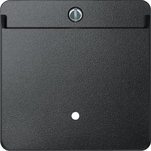Card-Schalter anthrazit