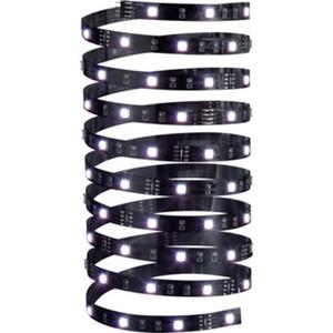 YourLED ECO Stripe 5m RGB 18W 12V DC Schwarz