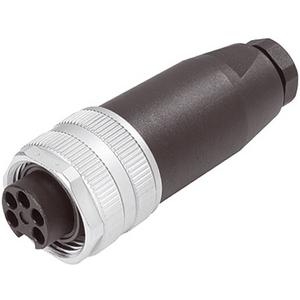 7/8'' Buchse gerade selbstanschl. Schraubklemme 5-polig Kabel 6-8mm