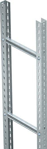 Steigeleiter schwer mit C 40 Sprosse Stahl tauchfeuerverzinkt 300x3000 mm