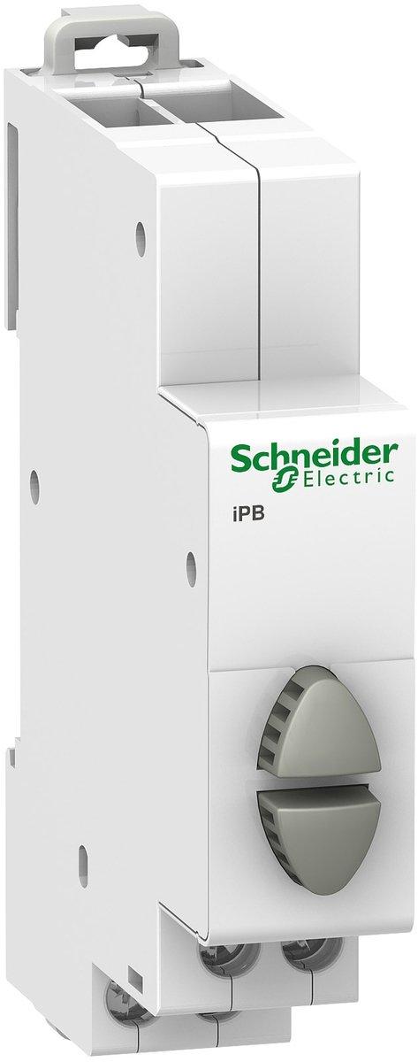 Doppel-Drucktaster iPB 1S-1S grau/grau