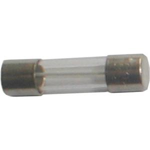 G-Sicherung flink 5x25mm 250V 1,4A