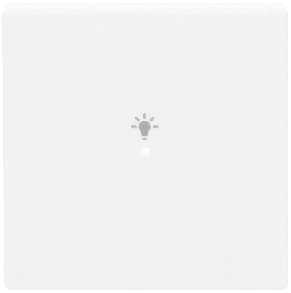 Wippe 1-fach für flex f@h KNX mit Symbol Licht studioweiß - Plattform 63