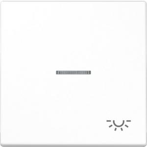 Wippe Symbol Licht Linse Lichtleiter für beleuchtbare Taster