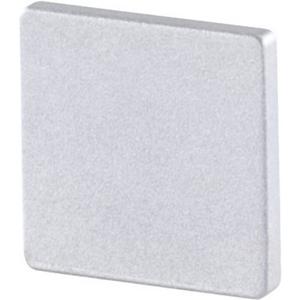 BLine Select CT00U-A Endkkappe silber für Profil CT02 und Abdeckung CX03 o. Loch